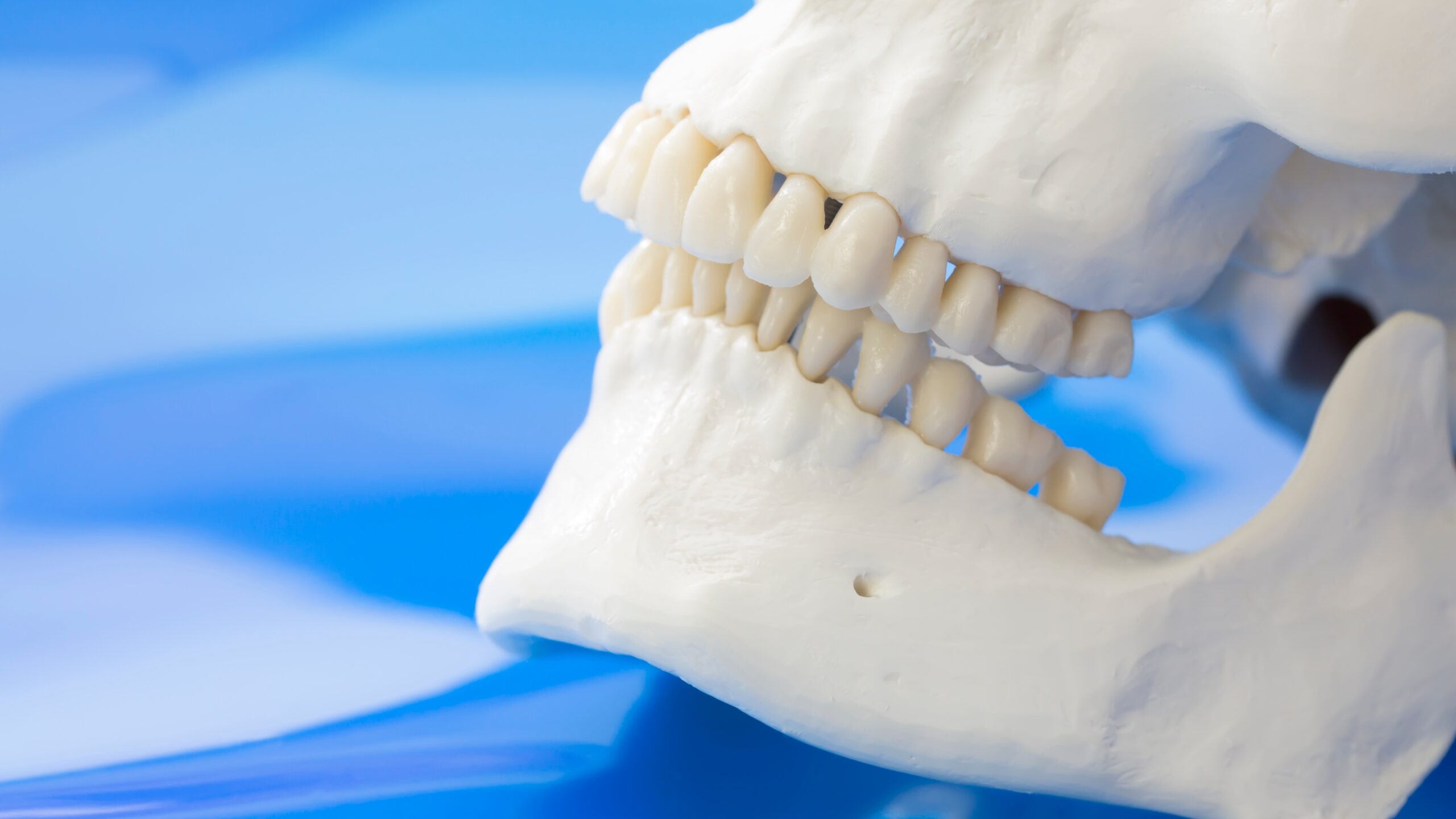 Odontología Bioestética